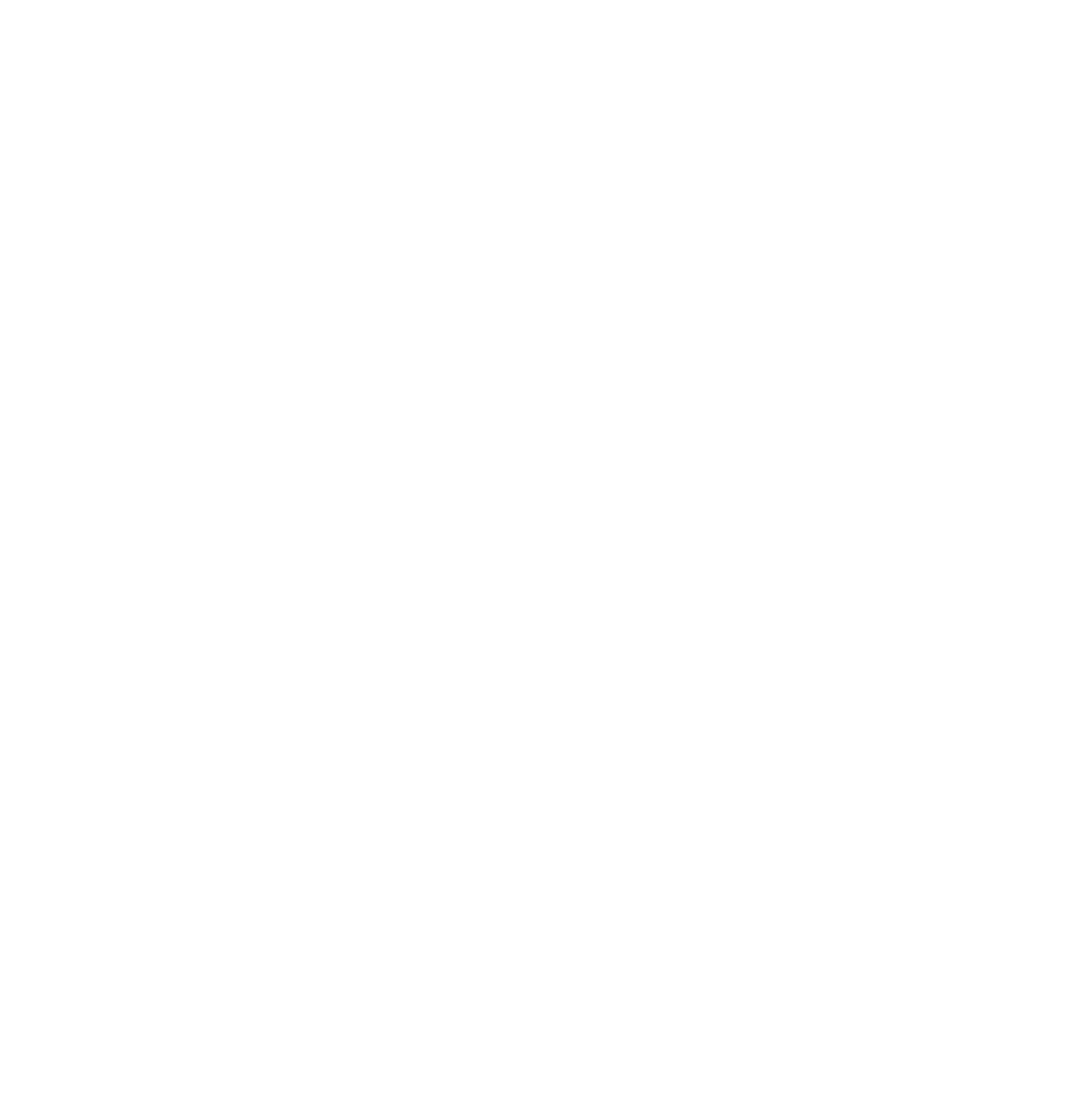 Secure data storage icon: a padlock with a shield and checkmark