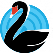 swan_isolated_small2-cc swan_isolated_small2-cc